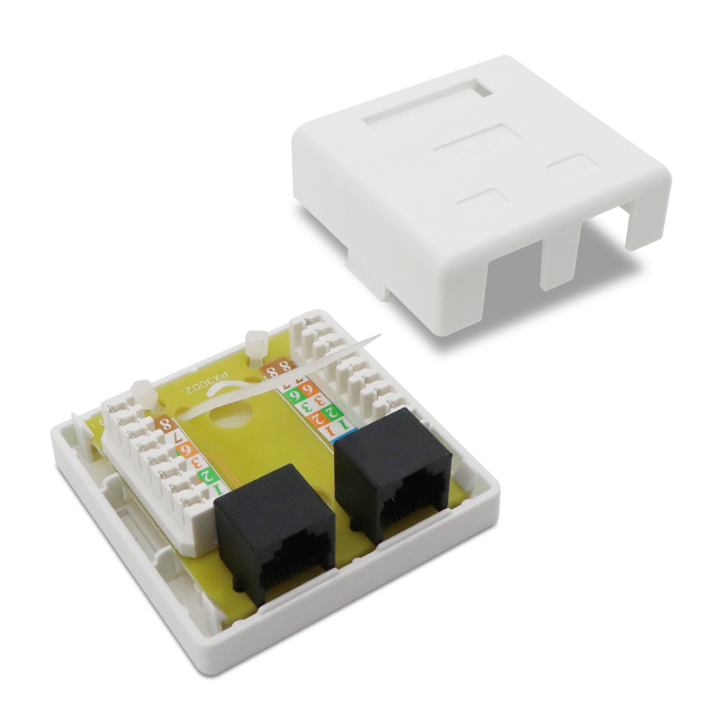 2 Port CAT5e Unshielded Surface Mounting Box With Module