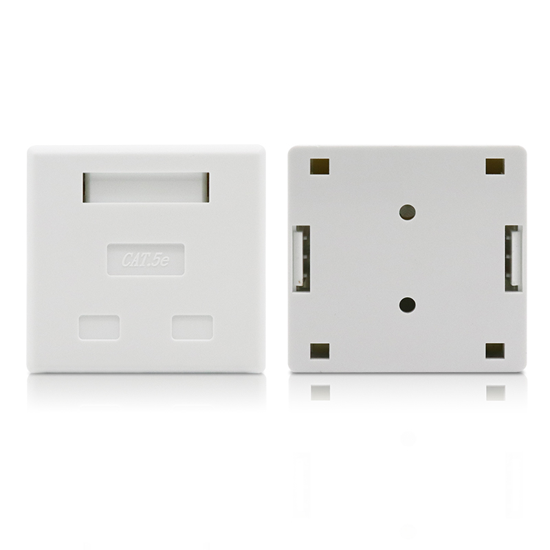 2 Port CAT5e Unshielded Surface Mounting Box With Module